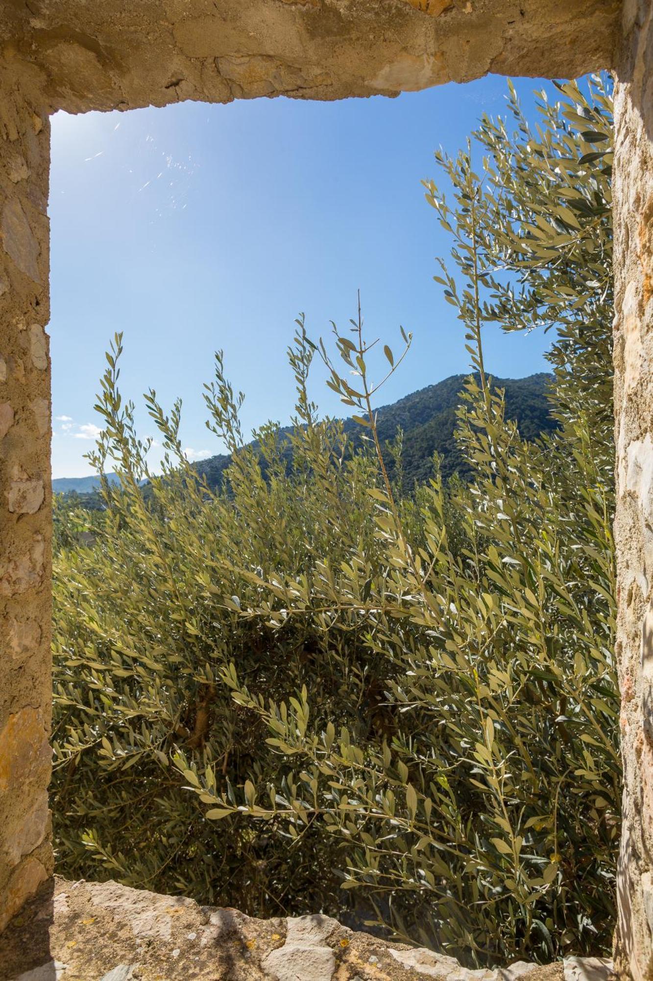 Finca Es Castell 比尼博纳 外观 照片
