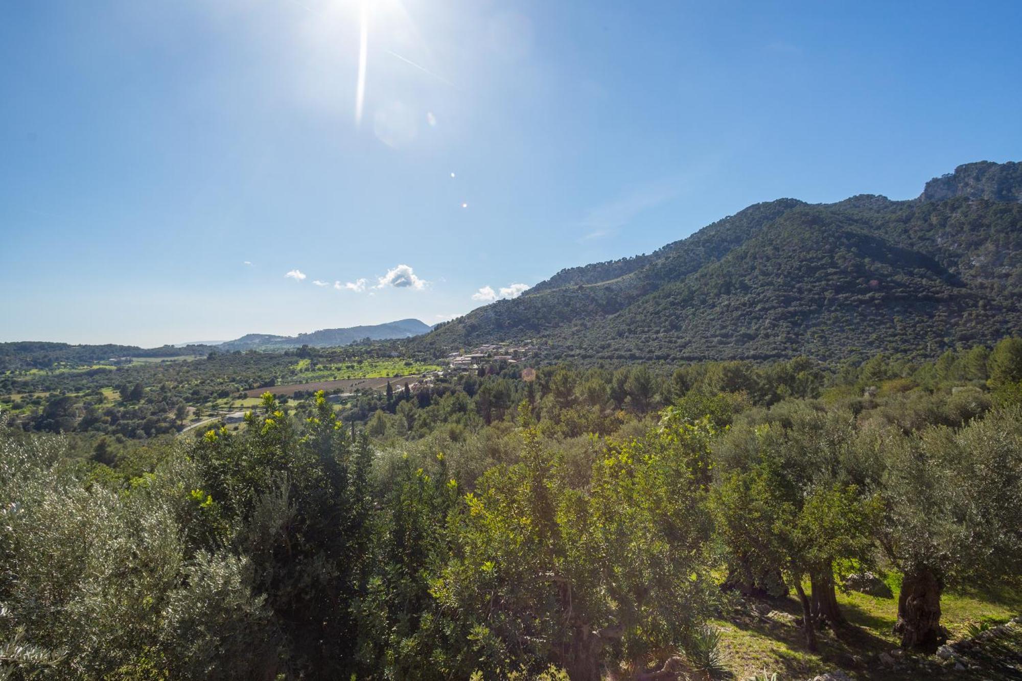 Finca Es Castell 比尼博纳 外观 照片