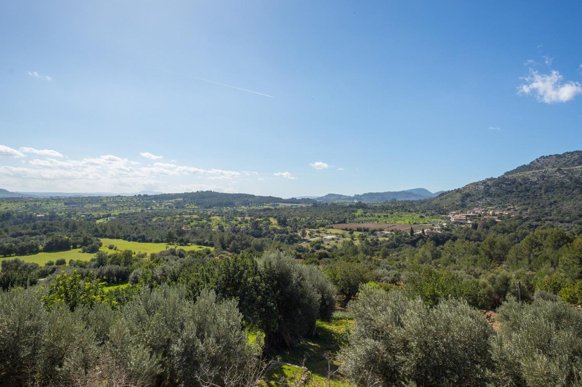Finca Es Castell 比尼博纳 外观 照片