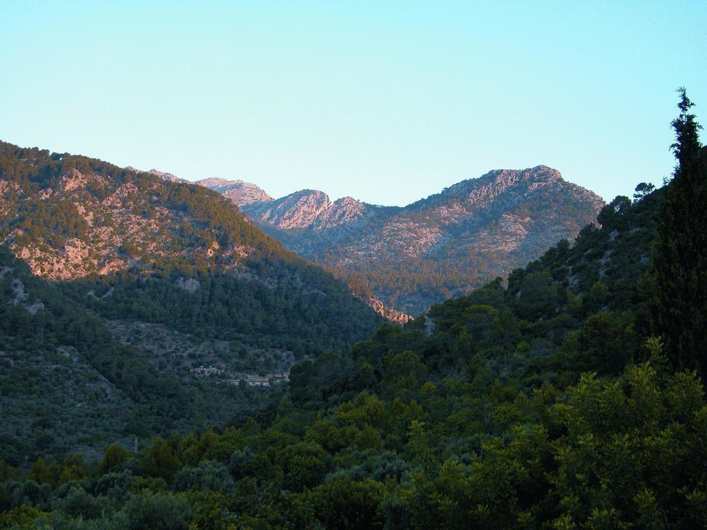Finca Es Castell 比尼博纳 外观 照片